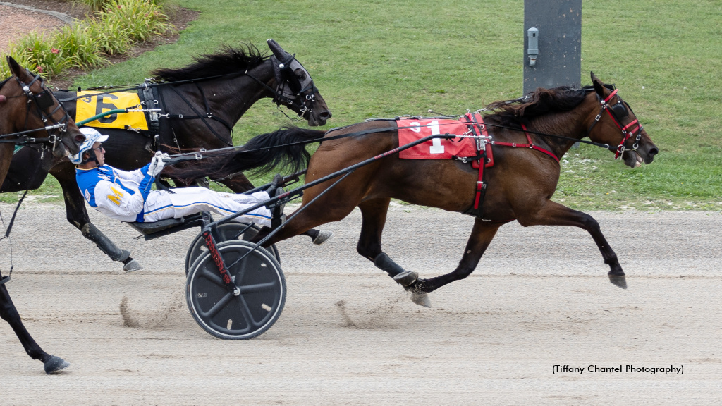 Favoured Fillies Deliver In Grassroots Finale