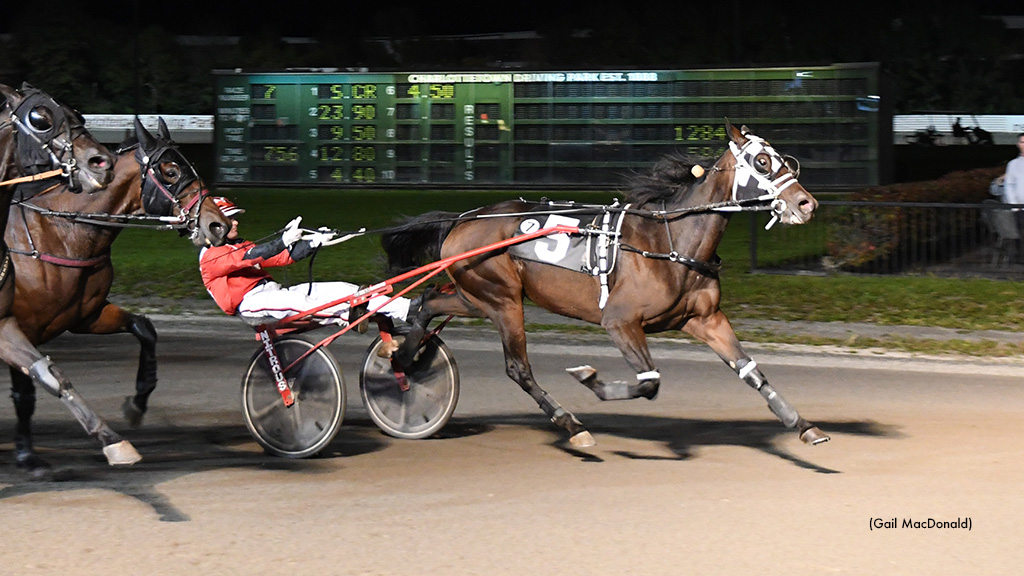 Charlottetown Open Trot To Jessiejesorjessica