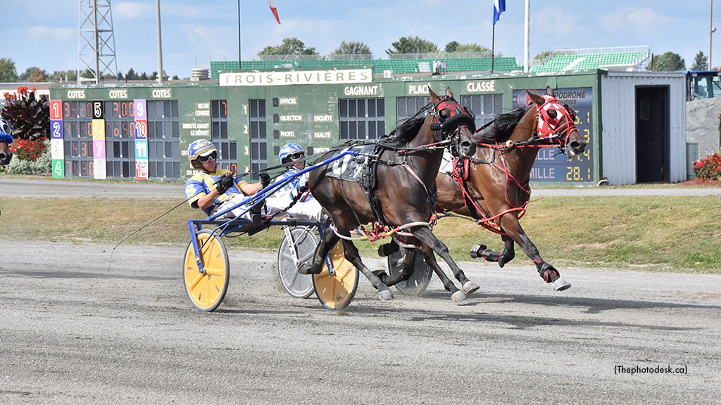 Kingston Panic Scores At 3R Kingston Panic Scores At 3R