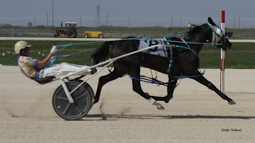 Piwniuk, Williams Sweep Loop Stakes Saturday