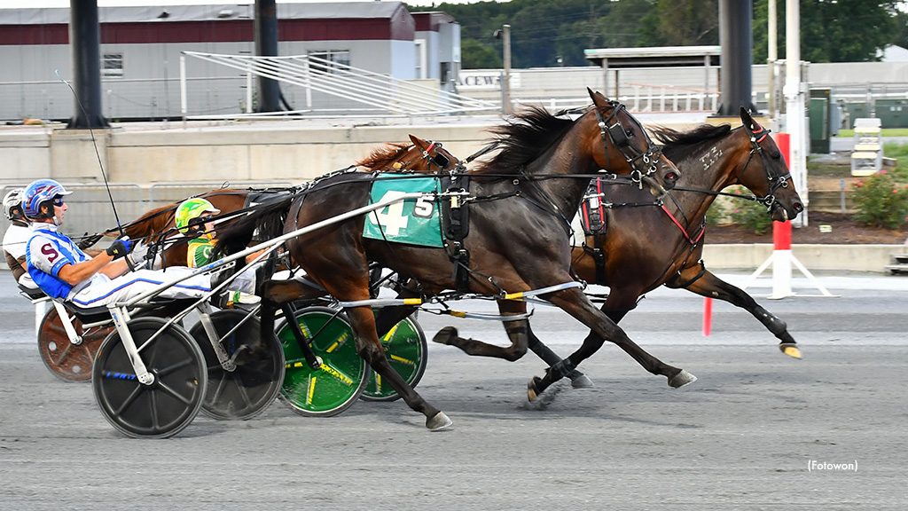 Majorca N Scores In Harrington Mares Open