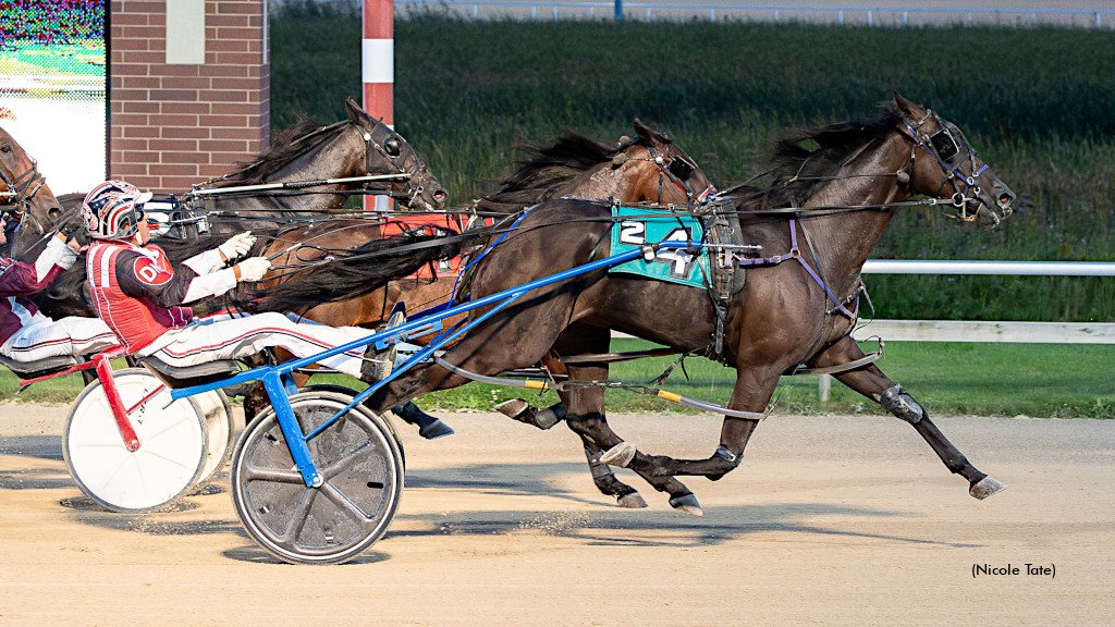 Overtheedgeofhonor Shocks In Minnesota Consolations 
