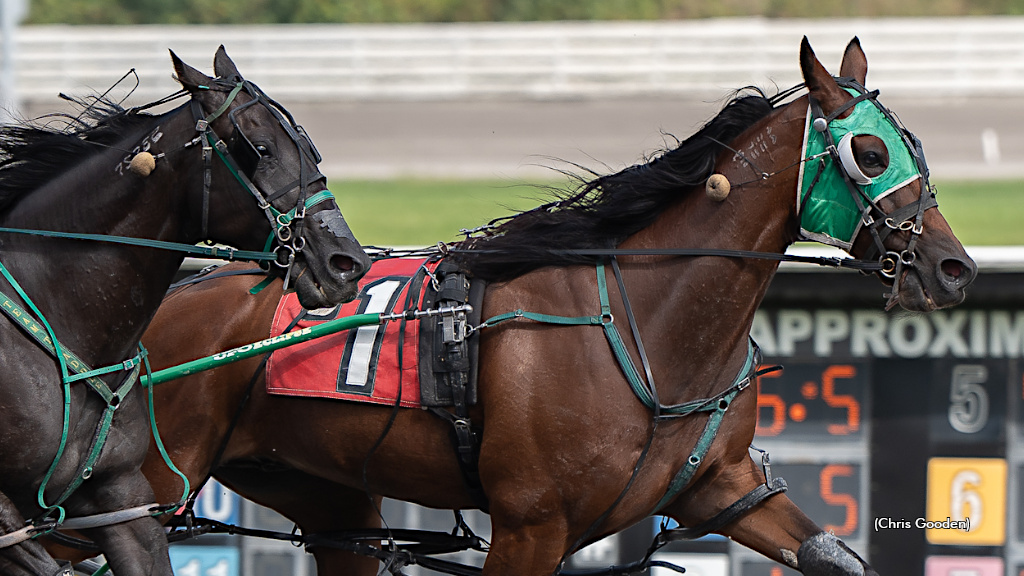 Patrikthepiranha A Devours Rivals Saturday