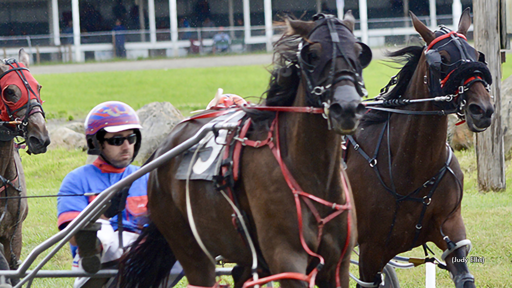 Sophomore Pacing Fillies Shine In Maine Sire Stakes