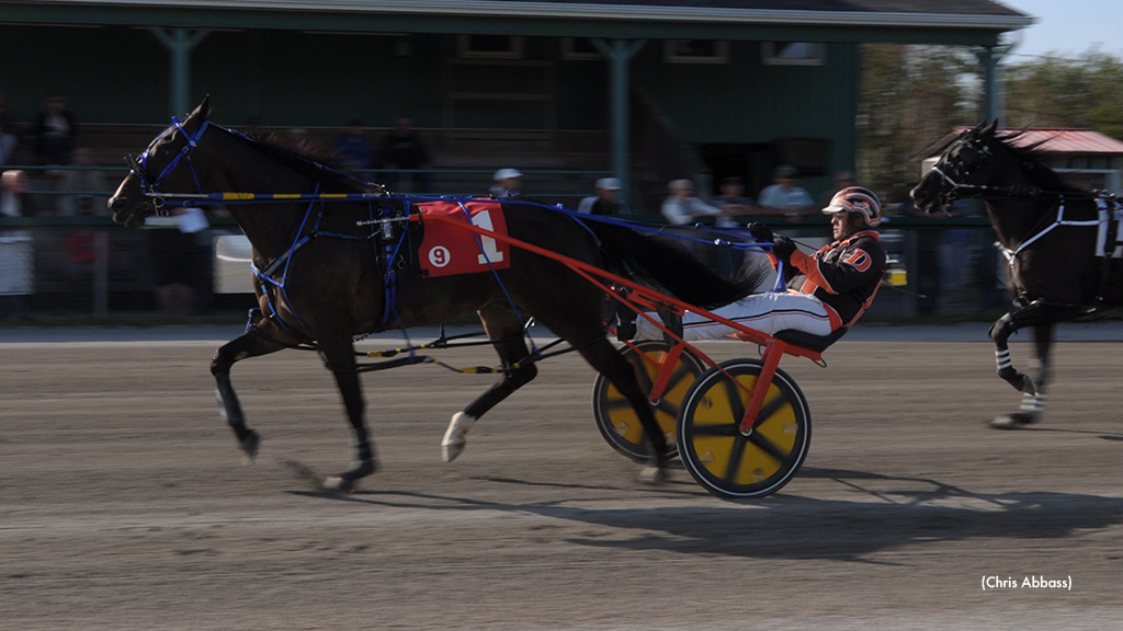 Q Ts Charlie Gate-To-Wire At Northside