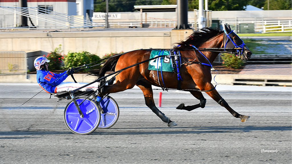 Remarkable De Vie Tops Harrington Open Trot