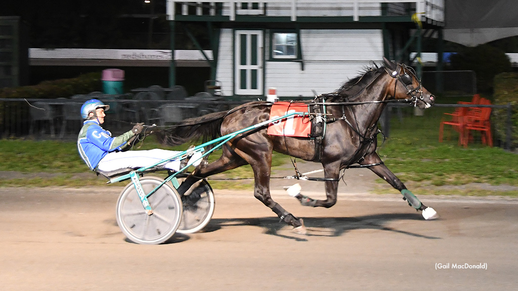 Maritime Breeders Trots Go Postward Thursday