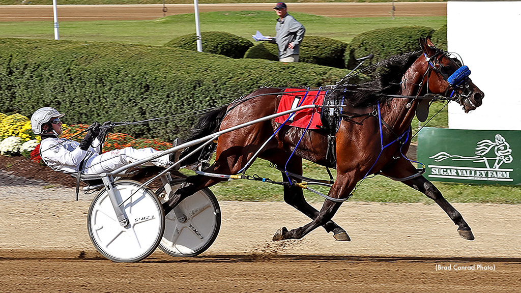 Records Fall In Delaware County Fair Opener