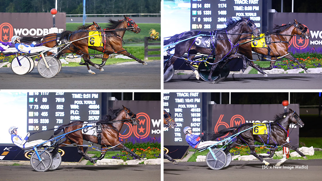 Metro And Shes A Great Lady Finals Set