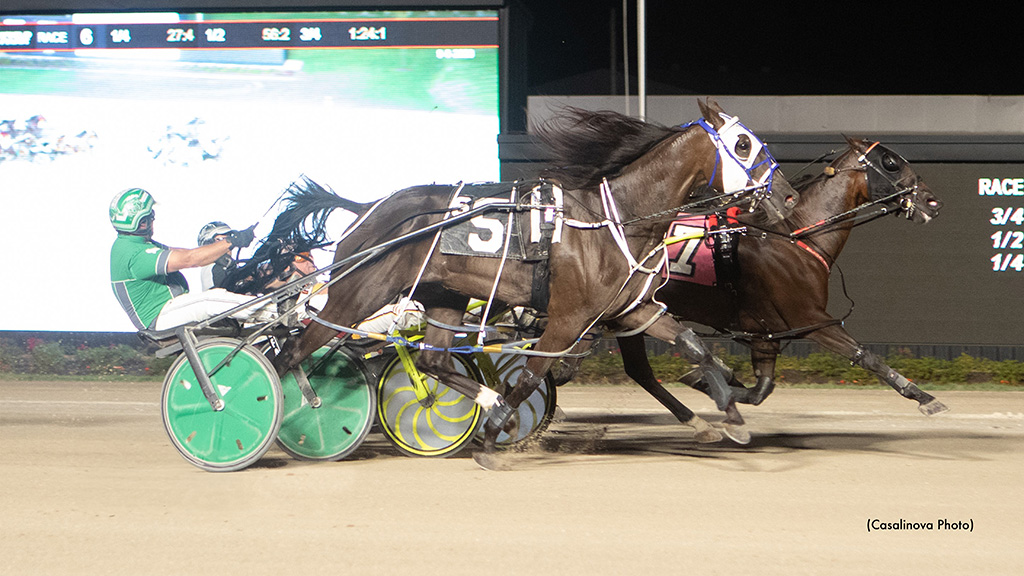 Southwind Amazon Passes Rambling Willie For Wins