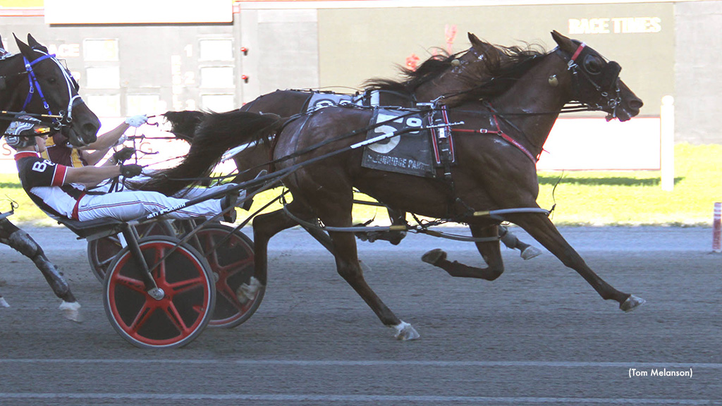 Stay Jelly Tops Plainridge Thursday Card