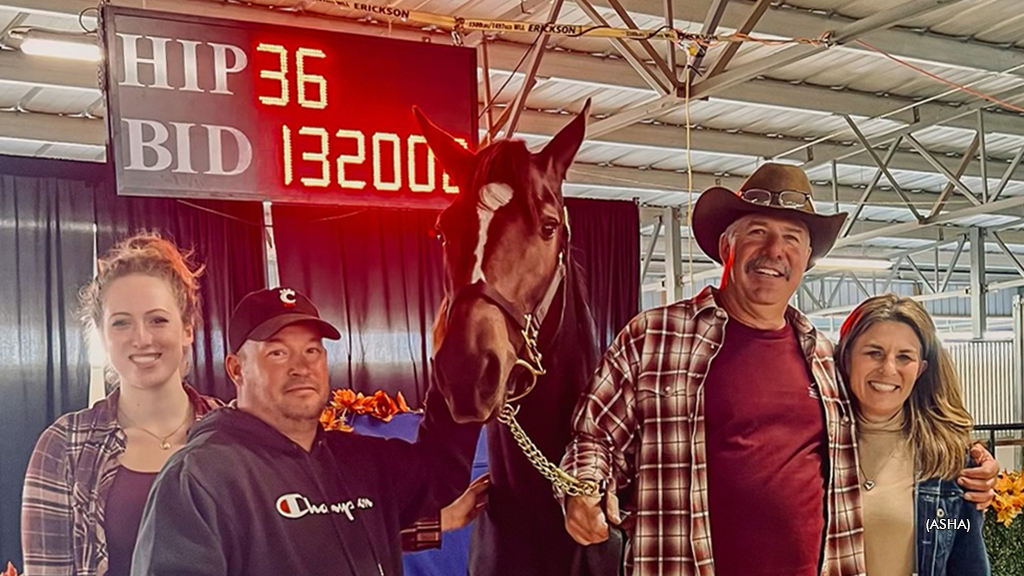 Record-Setting Strutsville Tops ASHA Yearling Sale Record-Setting Strutsville Tops ASHA Yearling Sale