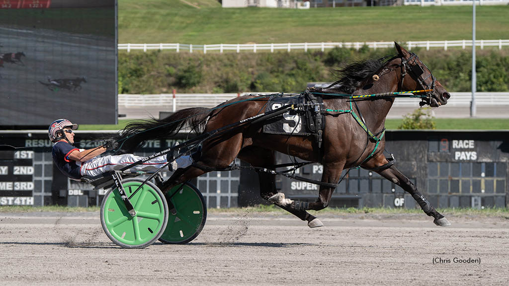 Think Of Galaxies Wins Meadows Distaff Pace
