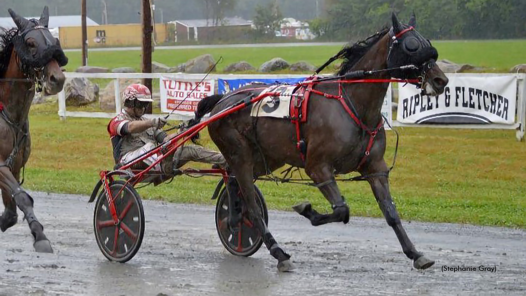 Maine Trotters Make A Splash At Farmington Maine Trotters Make A Splash At Farmington