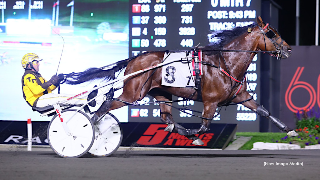 Warrawee Vital Vicious In Free For All