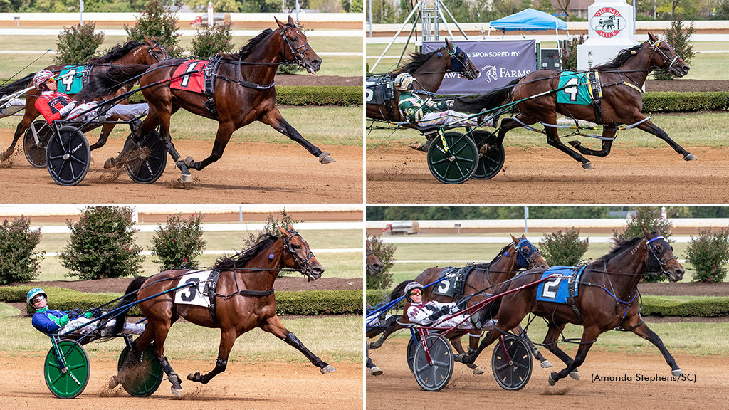 Grand Circuit Stars Shine In Allerage Farms Opens