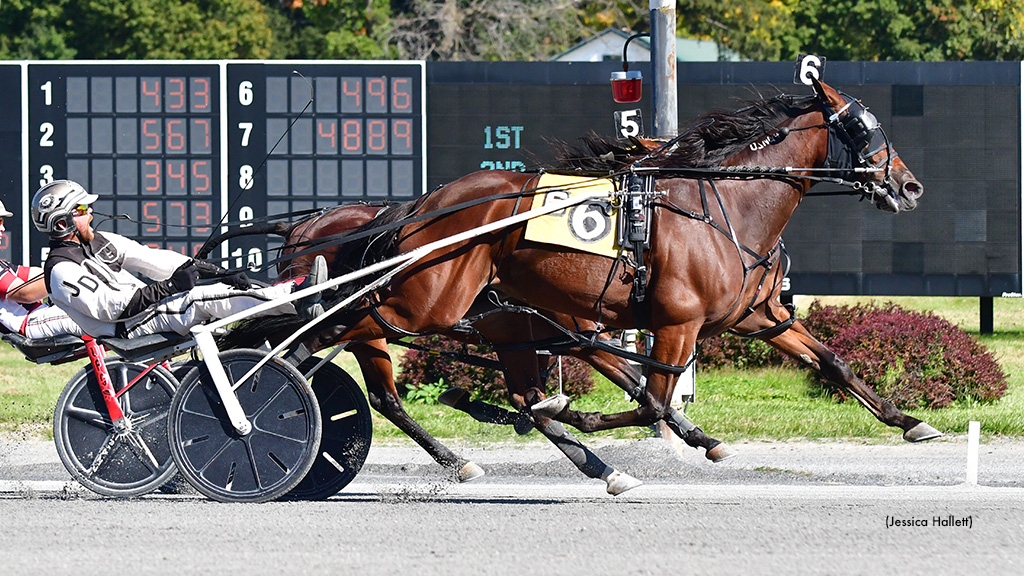 Always Watching Repeats In Saratoga Distaff Open