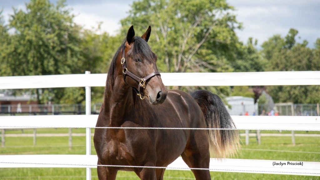 Announcement From Seelster Farms