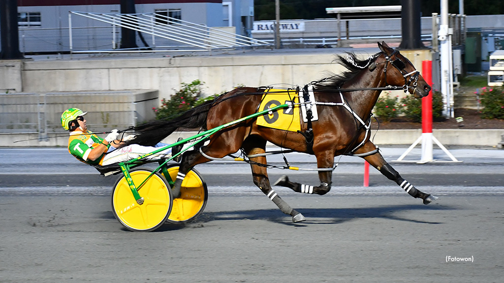 Harrington Gearing Up For DSBF Action