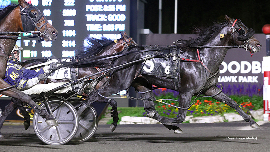 Better B Bold Shines In OSS Gold