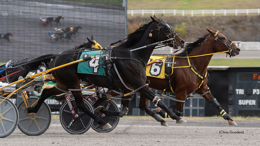 Blue Ivy Hangs Tough In Meadows Mares Open 