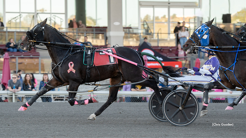 Devan Miller Wins Meadows Lady Drivers' Championship