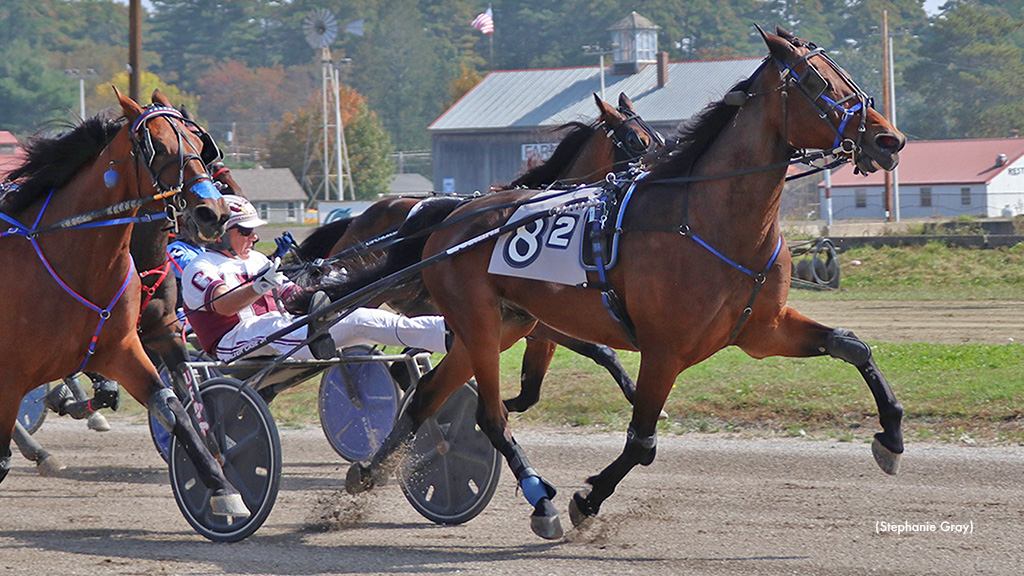Bruizn Takes Cumberland Top Trot
