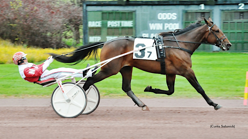 Svanstedt Completes Perfect Simpson Stakes Week