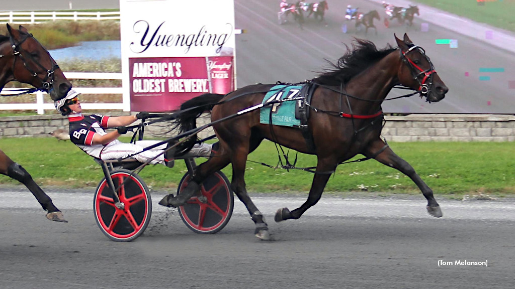Career Best For Chapheart In Plainridge Top Trot Career Best For Chapheart In Plainridge Top Trot