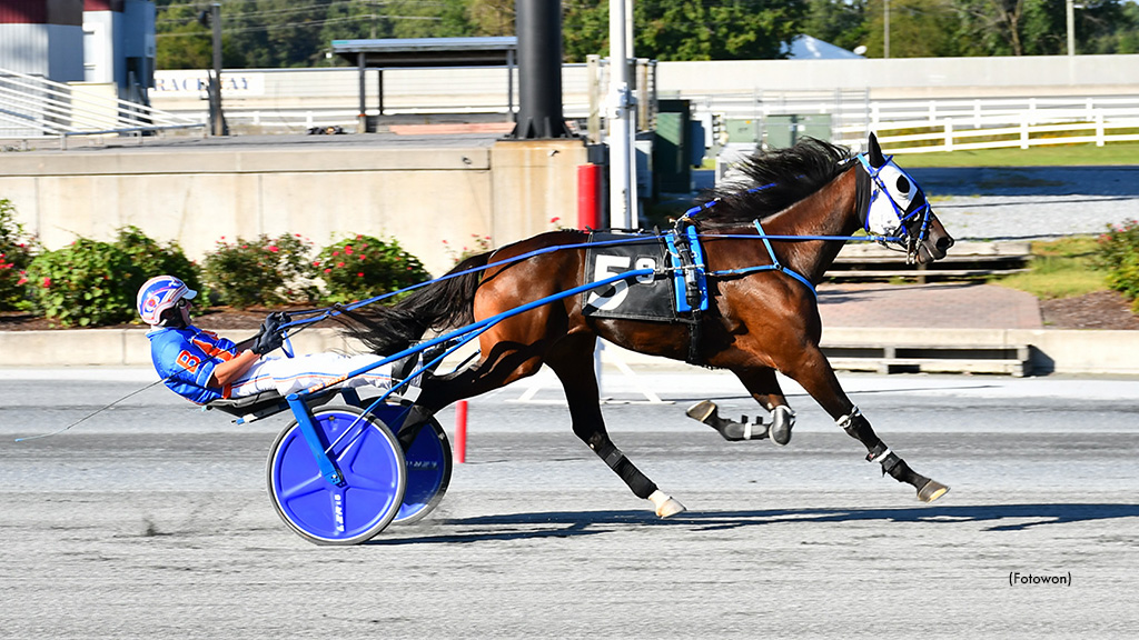 Daburg Equals Harrington Track Record