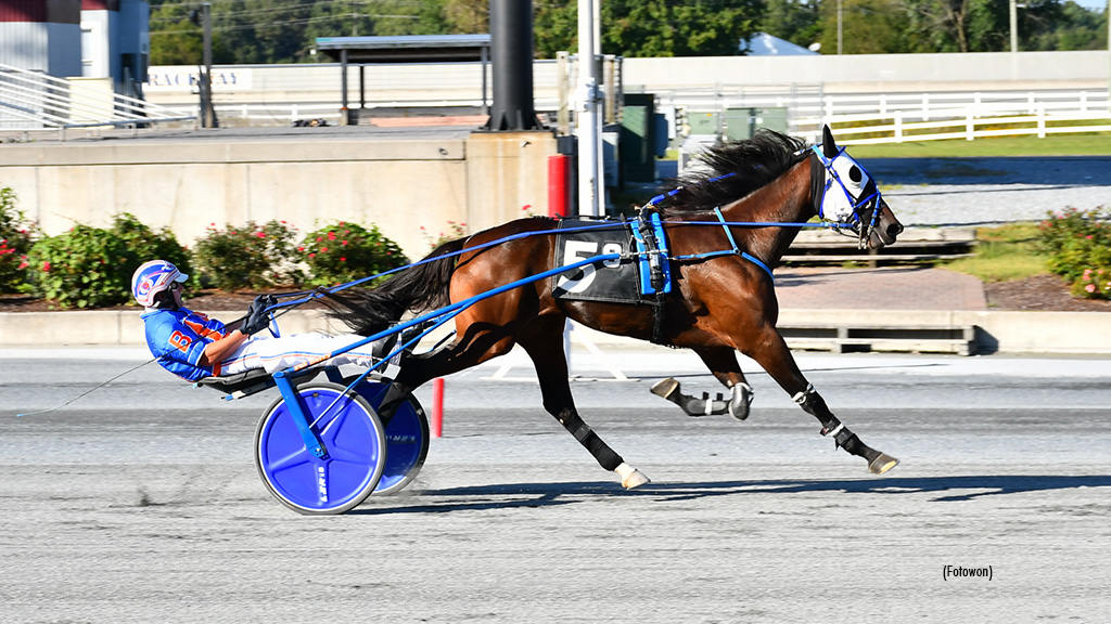 DSBF Two-Year-Old Finals Highlight Harrington Week