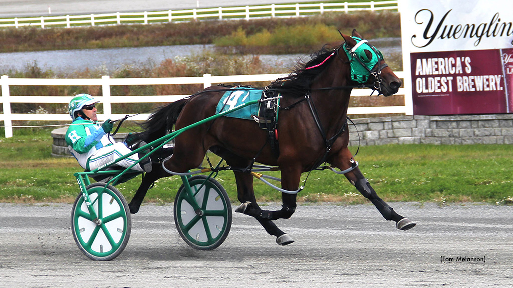 Dame Ties Record In Massachusetts Stakes