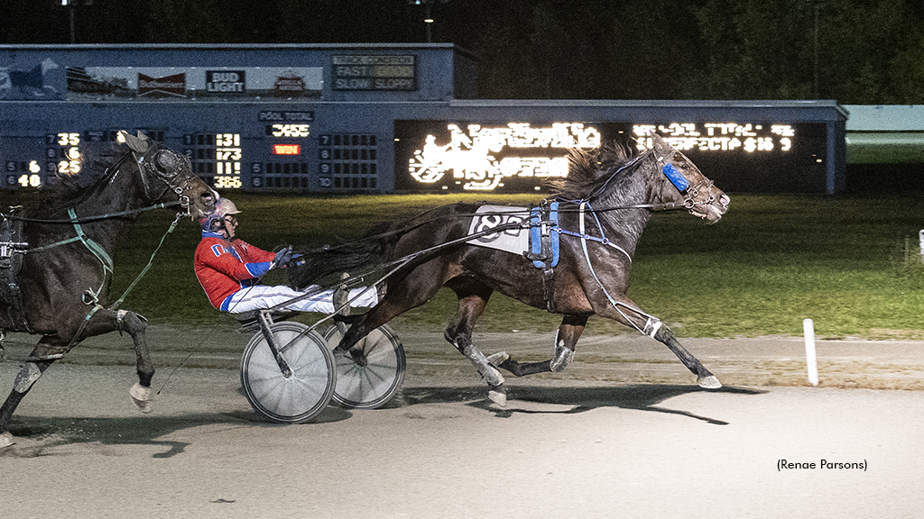 Designer Specs Repeats In Northville Open Trot