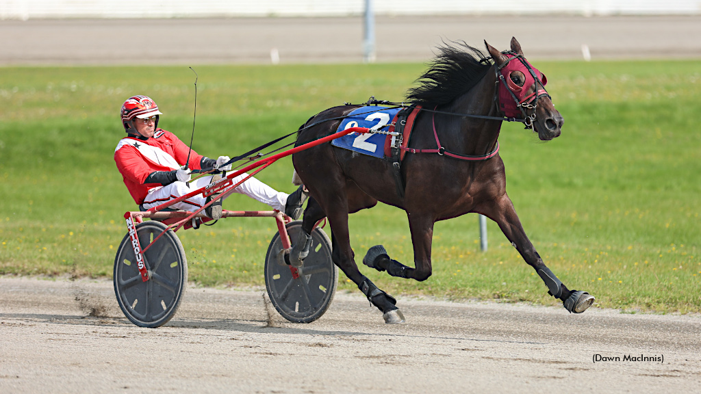 Records And Streaks Highlight Summerside Stakes Card