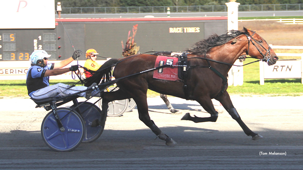 New Zealand-Breds Take Top Two Plainridge Tilts