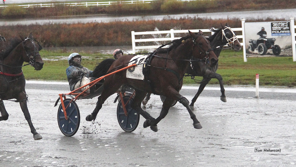 Enhance Yourcalm N Splashes To Plainridge Victory