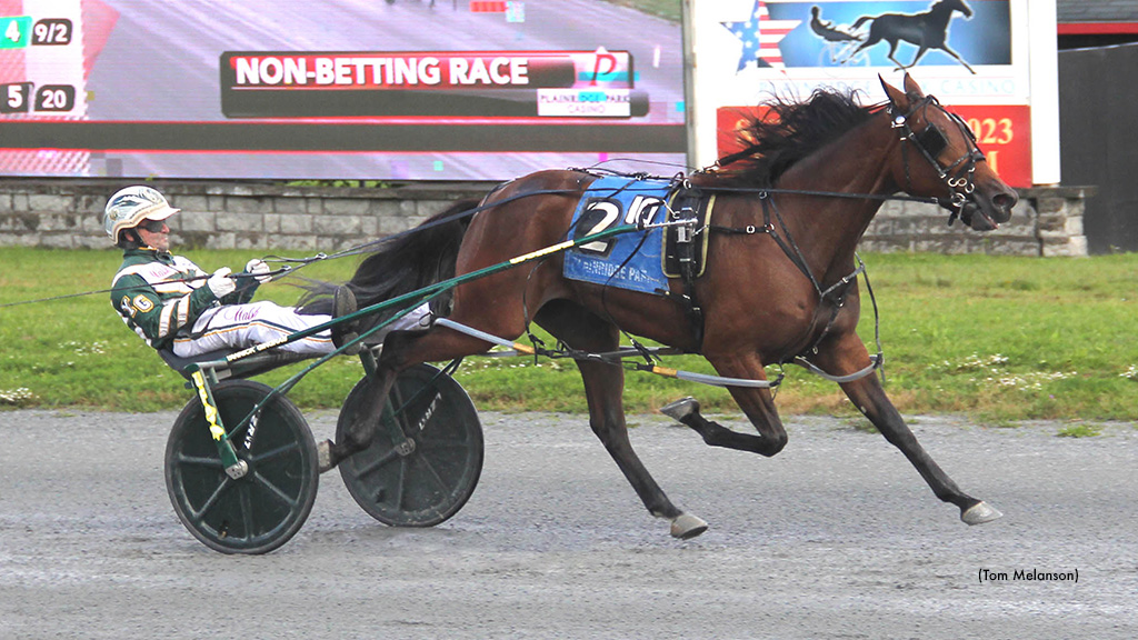 Every Mans Dream, Keep Asking Perfect In Sire Stakes Every Mans Dream, Keep Asking Perfect In Sire Stakes