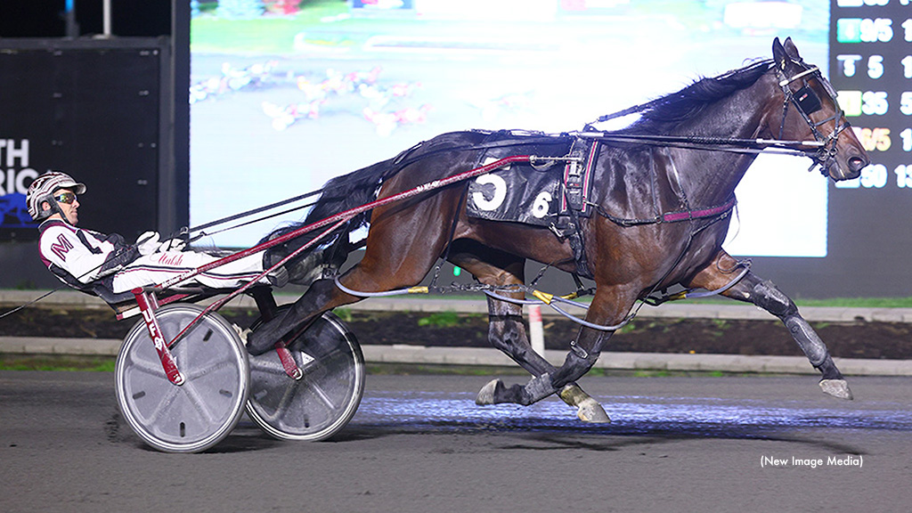 Flag Party Bests Harvest Series Foes