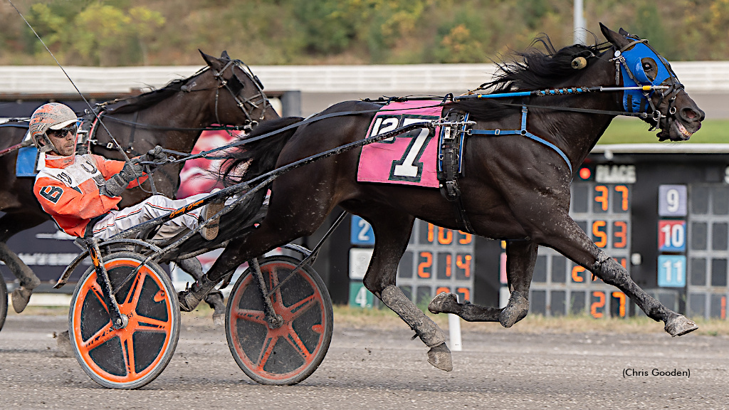 Guido Di A Confident Winner At The Meadows