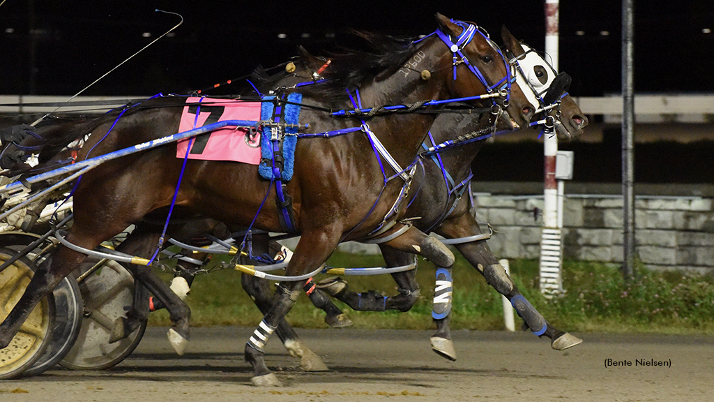 I Ama Rocket Wins Rideau Preferred In A Photo Finish