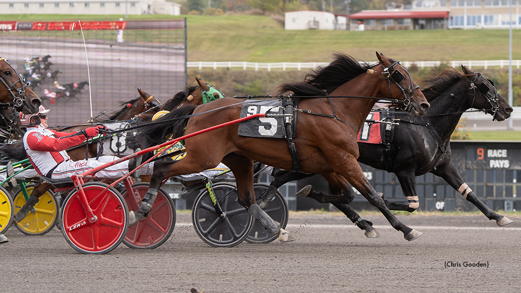 Joygo Finds Good Spot To Win Meadows Top Trot