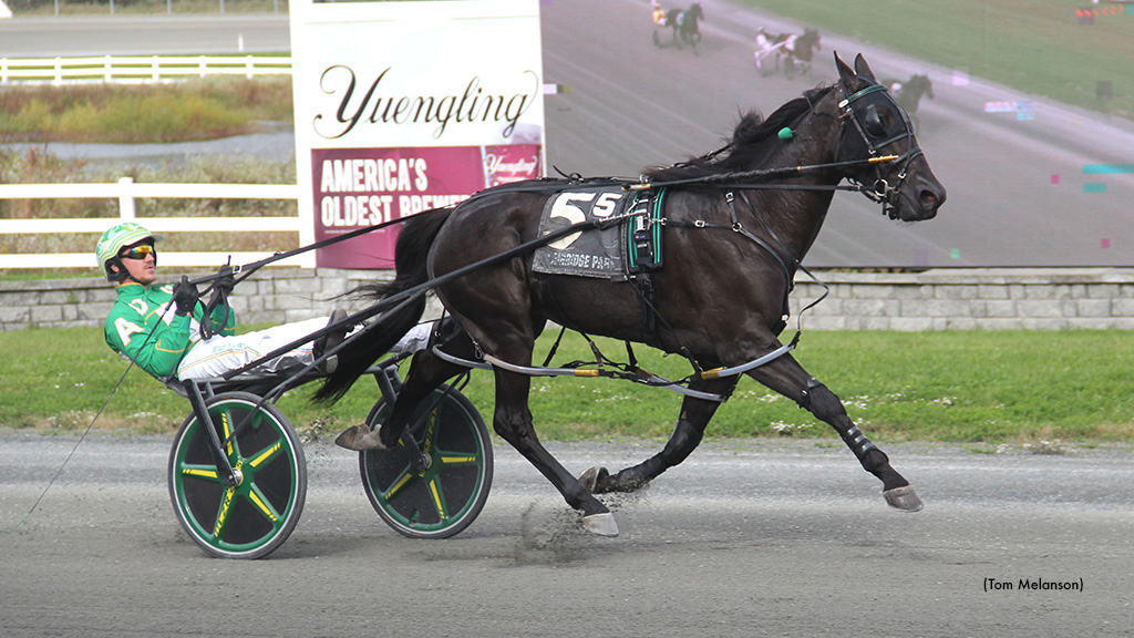 Just Bet It All The Best In Reynolds At Plainridge