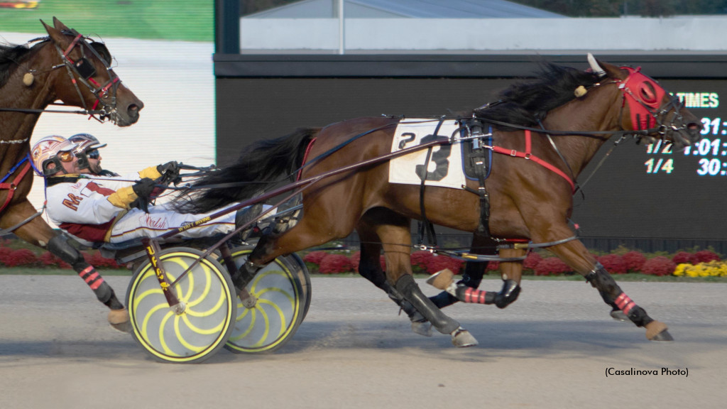 Buckeye Stallion Series Consolations Complete Buckeye Stallion Series Consolations Complete