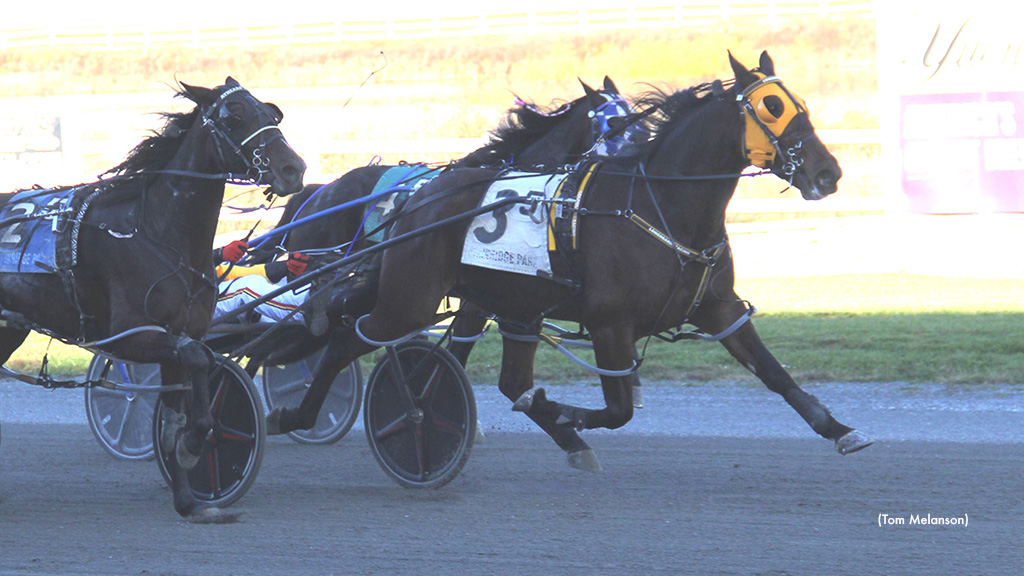 Mach Seelster, Beyond The Past Winners At Plainridge 