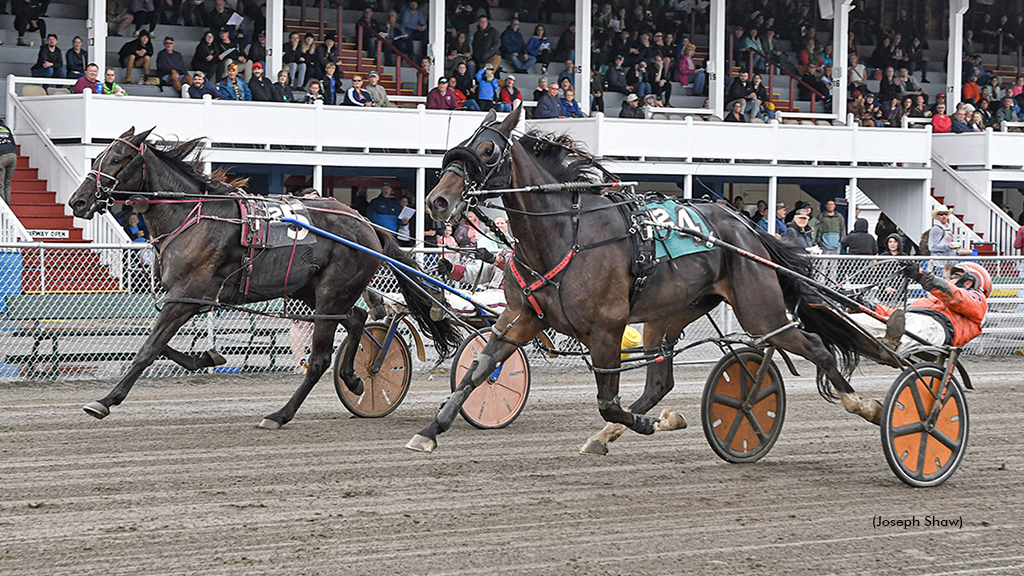 Maine Sire Stakes Prelims Wrap Up