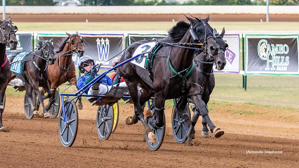Pinske Pair Looks To Advance To Breeders Crown