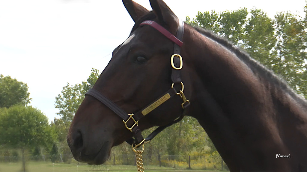 Hoosier Classic Yearling Sale Complete