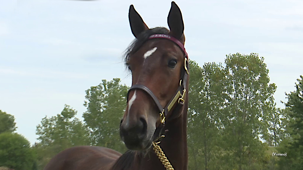 Ponda Jewel Tops First Hoosier Classic Session