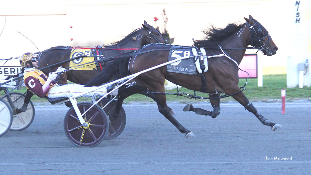 Smooth Sailing For Racey Rach N In Plainridge Distaff