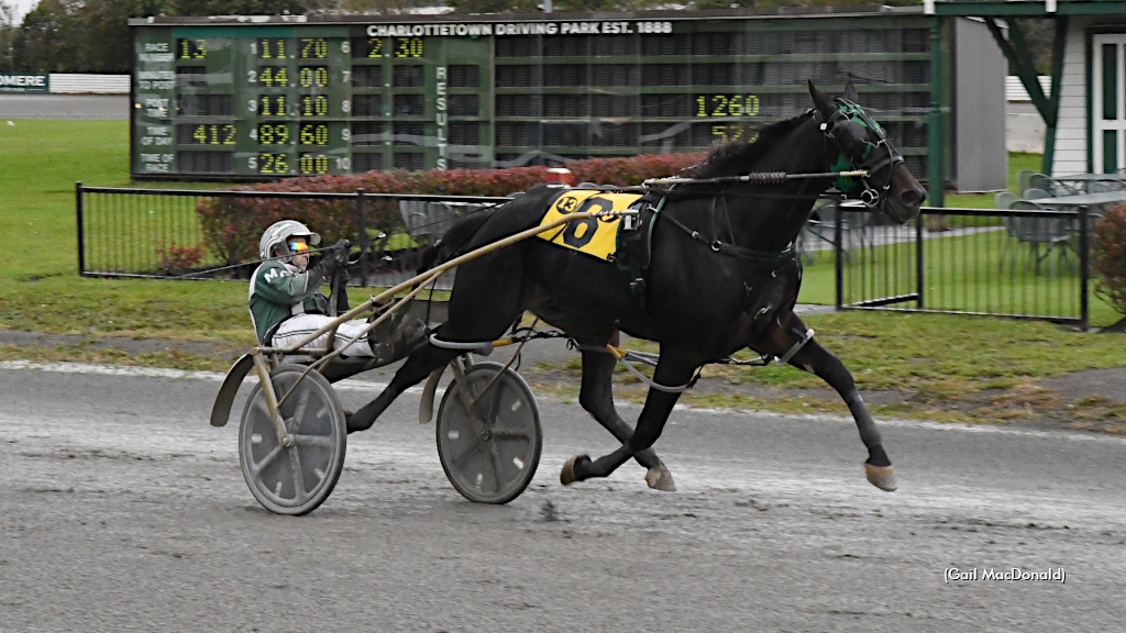 Roll Em Stomps 'Em In Charlottetown 